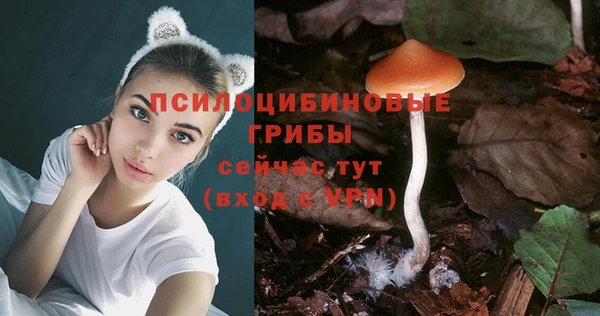 амф Балахна